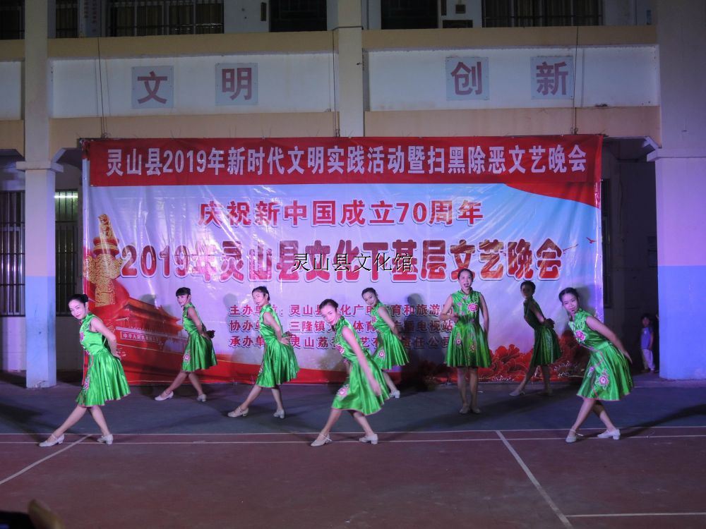 慶祝新中國成立70周年2019年靈山縣文化下基層文藝晚會