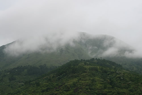 綠蘆煙雨——綠蘆山
