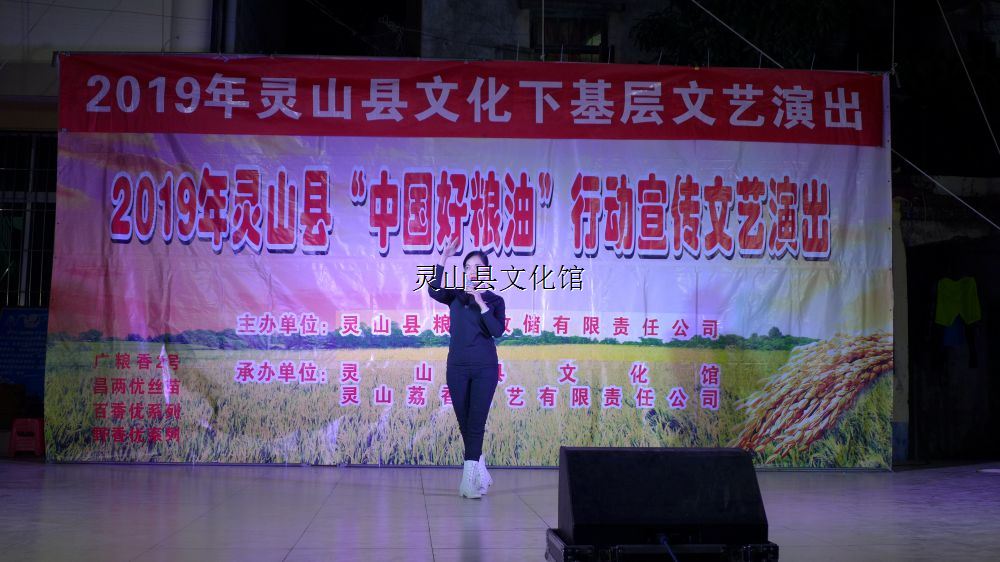 2019年靈山縣“中國好糧油”行動宣傳文藝晚會（舊州）