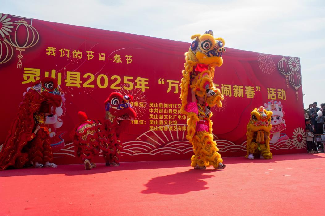 靈山縣蛇年新春系列活動(dòng)成功舉辦，文化盛宴點(diǎn)亮佳節(jié)